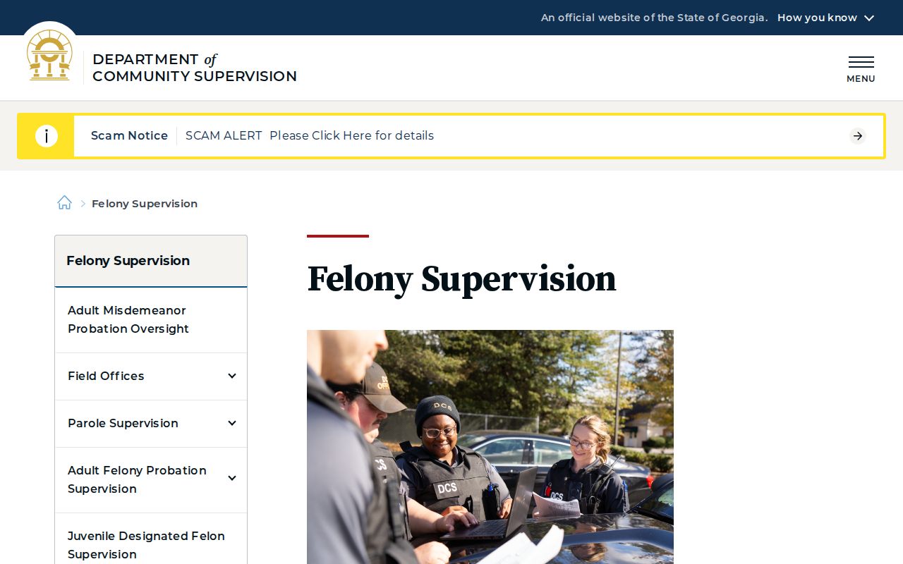 Irwin County parole and probation Georgia DCS felony supervision page